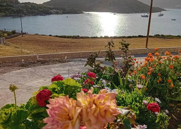 Aggeliki\'S Apartments