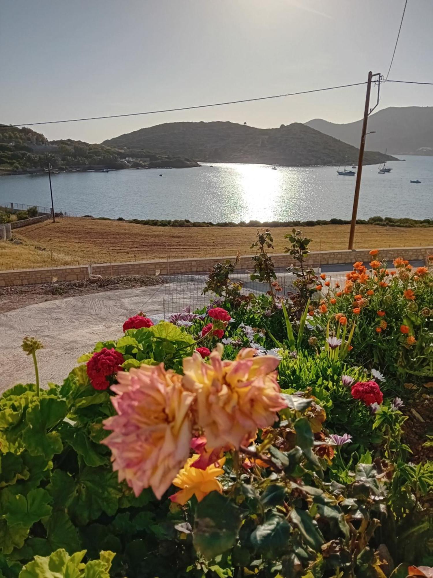Apartment Aggeliki's *