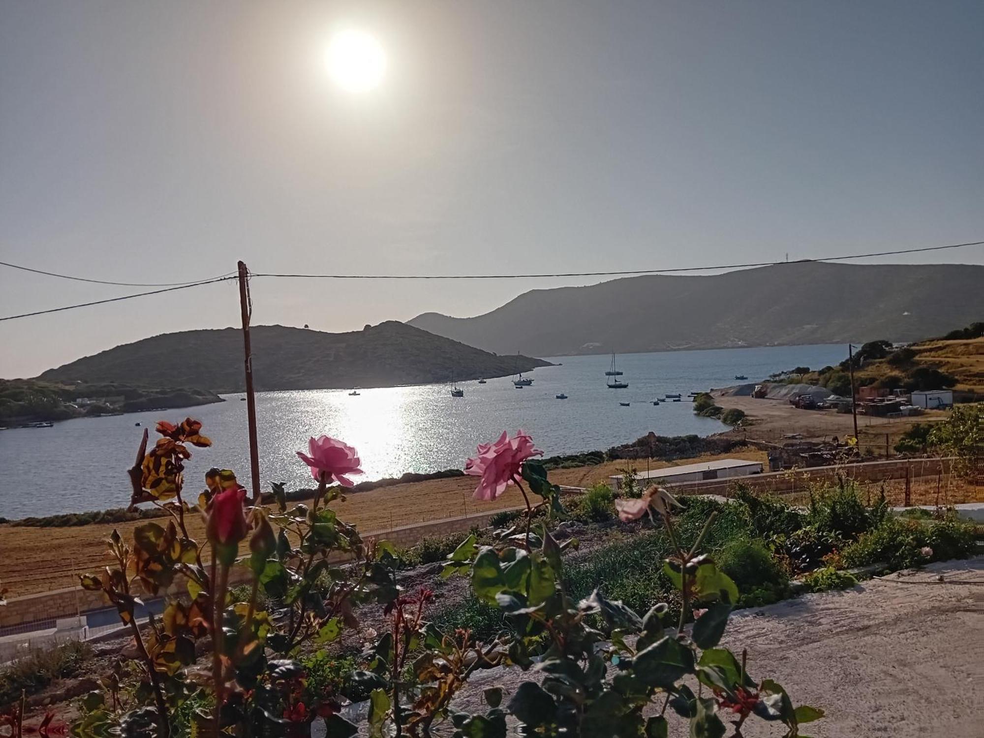 Aggeliki's *
